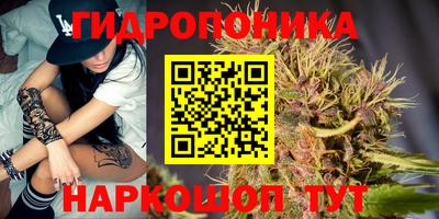 гашиш Кингисепп