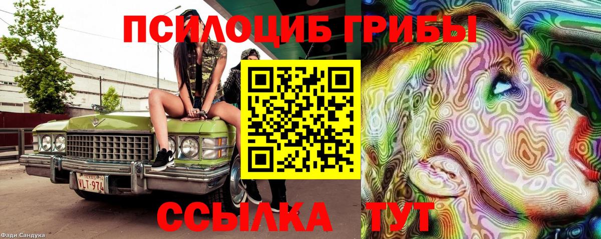 Сланцы  Псилоцибиновые грибы Psilocybe  Вход с VPN 