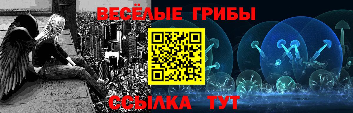 Псилоцибиновые грибы GOLDEN TEACHER Сланцы